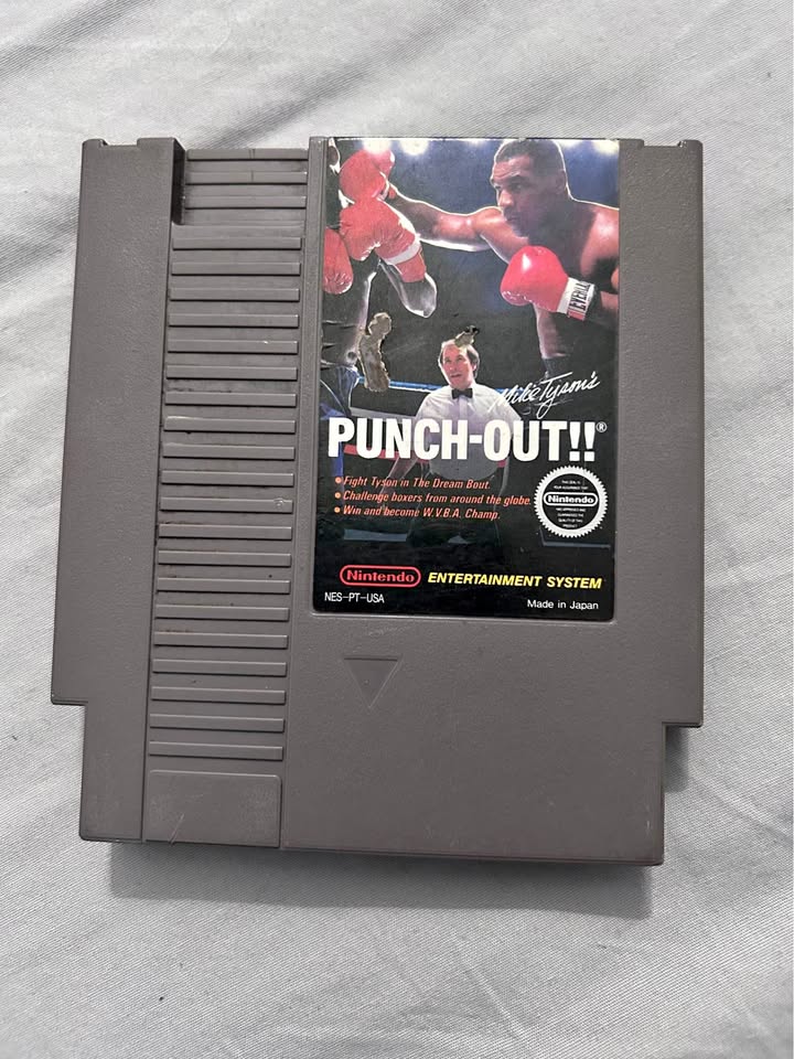 Nintendo Video Game Cartridge