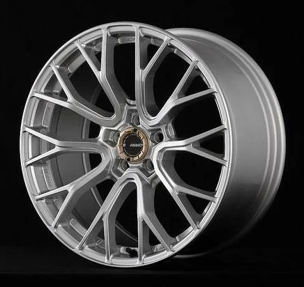 Silver Alloy Wheel with Multi-Spoke Design