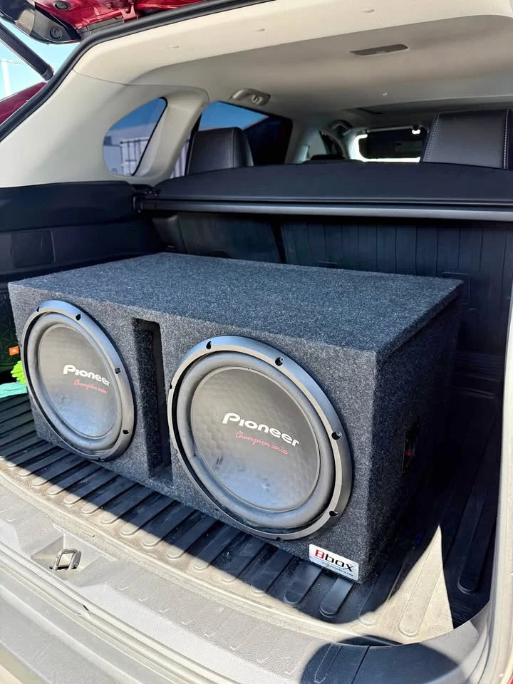 Pioneer Champion Series Dual 12" Subwoofer