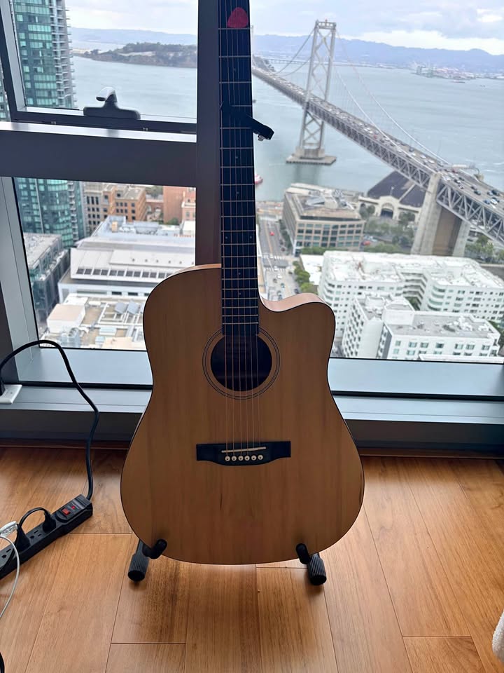 San Francisco View Acoustic Guitar