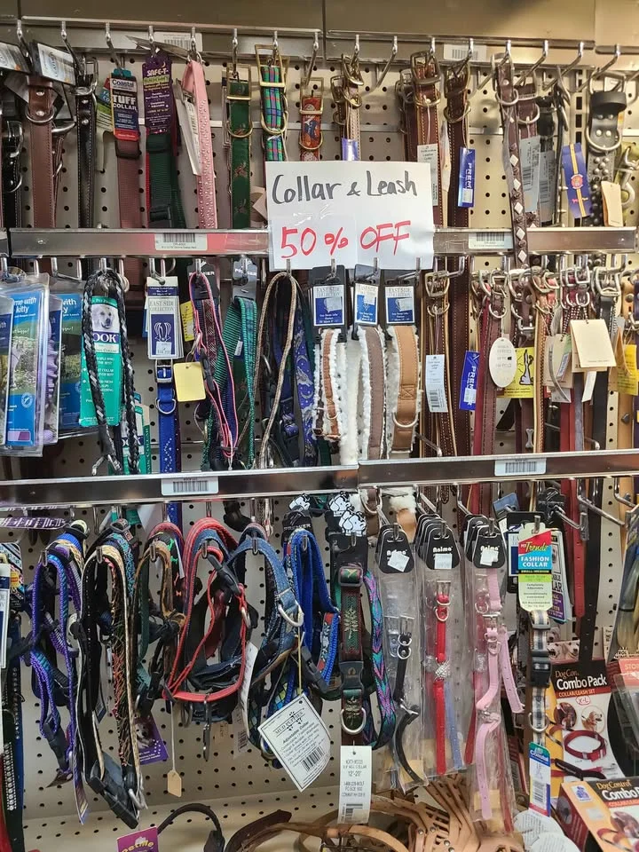 Adjustable Dog Collars And Leashes